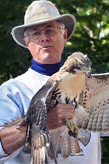 Russ & Red-Tailed Hawk